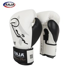 UFC 테이크다운 마린앰버 남성향수 EDP 100ml 미국, 1개, F. 전문THAI 2세대-화이트