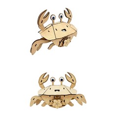 초등학교 색칠놀이 옆으로 걸어가는 오토마타 게로봇만들기 체험교육 공학