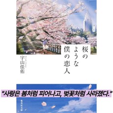 벚꽃같은 나의 연인 일본어판소설 문고본