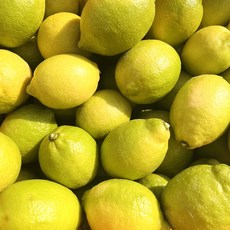 [우수농산물] 청정 제주 국내산 청 레몬, 1박스, 상품 1.5kg(혼합)