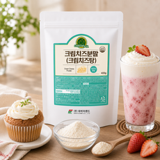 [데어리랜드] 크림치즈분말, 1개, 400g