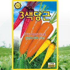 KS종묘 3색당근 씨앗 500립 주황 노랑 보라색 혼합 당근씨 종자, 3개