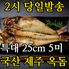 산지직송 제주 모슬포 국내산 반건조 옥돔 특대 25cm내외 kg당 5미, 1개, 1kg