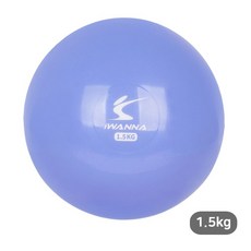 아이워너 웨이트 볼 1.5kg, 1개