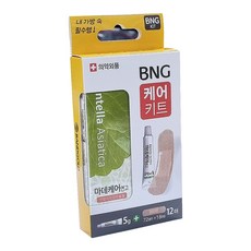 BNG 케어키트 퍼슨 마데케어 연고 + 밴드골드 반창고 세트 (상처보호처치), 1개