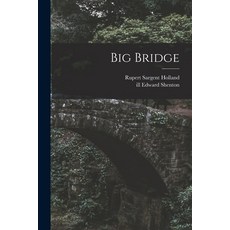 (영문도서) Big Bridge Paperback, Hassell Street Press, English, 9781014890528