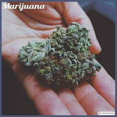 Marijuana 2021 Wall Calendar: Official Marijuana Calendar 2021 Paperback, Independently Published, English, 9798585928673
