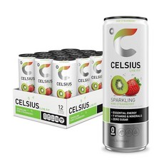셀시어스 스파클링 망고 레모네이드 에너지 드링크 355ml 12캔, Kiwi Strawberry