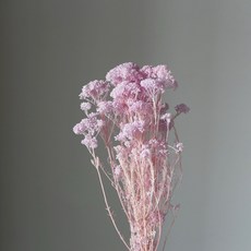 乾燥花花束 星辰 滿天星 情人草 卡斯比亞 小米花 淡紫色 80克 永生花 禮物 佈置 拍照道具, 小米花/淡紫色/80克