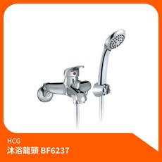 和成HCG 沐浴龍頭BF6237 淋浴組 花灑組 蓮蓬頭 沐浴 淋浴水龍頭 洗澡, 1個