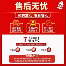 雷登 R02 輪胎, 1個