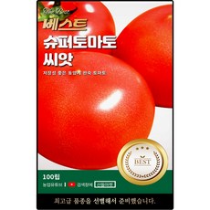 베스트 슈퍼 토마토 씨앗 100립 저장성 좋은 완숙 토마토씨 종자, 1개