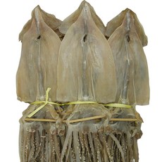 건어물천국 마른오징어 특대 건조오징어, 650g, 1개