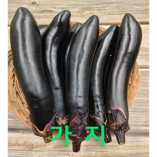 가지 못난이 가지 상 5kg 야채맘, 1박스