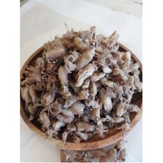 건꼴뚜기 완도 직배송 반찬 애기꼴뚜기, 1박스, 100g