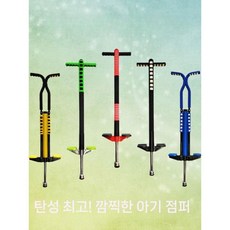 성인스카이콩콩 점핑 러너 균형 바운싱 유산소 신발 스카이콩콩 운동 강화형 이중봉
