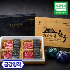 쇠고기집 무항생제 인증 한우 선물세트 소고기 명절선물, 2-A) 금강명작 실속, 1세트