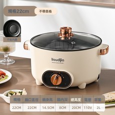 110V美規220V英規歐規多功能電煮鍋小電鍋家用電熱火鍋小家電, 22CM/2L單層:大英規插頭