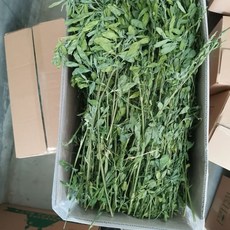 澳洲甜燕麥 燕麥草 苜蓿 提摩西一割 甜小麥草 高纖磨牙 兔子飼料, 1個, 苜蓿草-不過篩1公斤