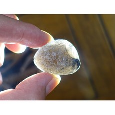 §能量礦石§ Saffordite Arizona亞利桑那隕石 21.59g 天狼星 美國隕石 產地直寄保真, 1個