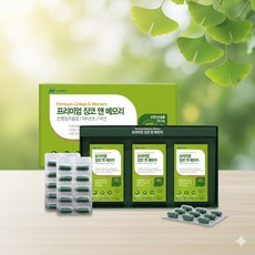 징코 비타민E 아연 은행잎추출물 3개월분 기억력 혈행 개선혈 혈당관리영양제, 90정, 1박스