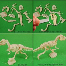 야광 공룡 화석키트 과학탐구 gy1020 아이템파크, 단품