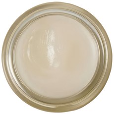 NONFICTION 純天然植物潤唇霜 深層滋潤 夜間修護 告別乾燥雙唇, 1kg, 1個, 詳見商品包裝