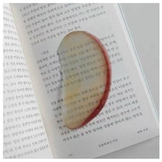 북마크 과일 책갈피 반투명 북클립, 3개, 사과