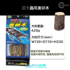 MARUKAN 昆蟲用木頭朽木攀登木 甲蟲 獨角仙 鍬形蟲 寵物昆蟲用品, 1個, 巨大蟲用產卵木