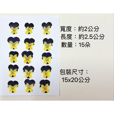 三色堇 大集合 押花花材包 原色無染色 台灣商家 手作diy, 前黃深紫斑後深紫-小朵