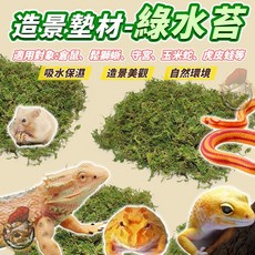 造景墊材綠水苔 兩棲爬蟲小寵墊料 倉鼠守宮保濕築巢底材 50g, 1個, LC-06 造景墊材【綠水苔】50g