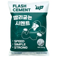 유피 빨리굳는 시멘트 백시멘트 방수 800g, 1개