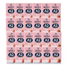 세브란스에이투 전용목장 단백우유 딸기, 125ml, 24개