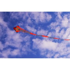 【風箏小舖】金剛王 眼鏡蛇 蛇造型風箏 150尺長尾 玻璃纖維骨架, 單風箏附基本線組