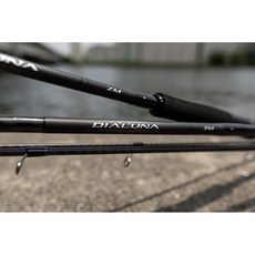 SHIMANO 25 DIALUNA ZM 岸拋竿 路亞竿 - 百有釣具 一竿多用, S76-86ML