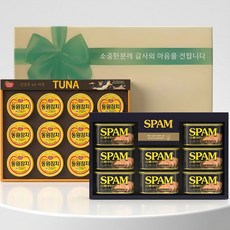 참치 스팸혼합선물세트 (동원참치S12호+스팸세트) 고급택배포장, 1개