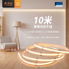 舞光 COB 軟條燈 10米長 室內專用 DC24V, 1個, DC24V驅動器25W(1米內)不單賣