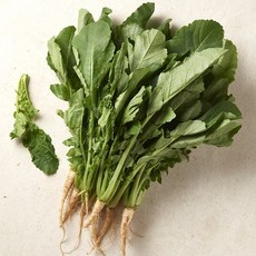 우리가락 열무 1단, 없음, 상세설명 참조