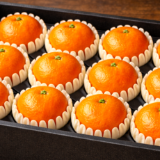 [품질보장] 제주 천혜향 선물세트 선물용, 1박스, 천혜향 3kg