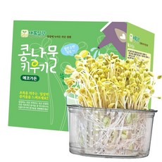 에코가든 식물 식물키우기 관찰 학습 콩나물키우기세트 식물재배, 본상품