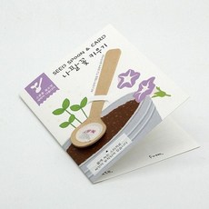 씨드스푼 간편 반려식물 발아 나팔꽃 홈가드닝 dok+535uO