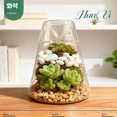 미니어처 다육테라리움 유리병 DIY 키트 이끼 조경 무드등 홈가드닝용 장식용품 65자, 화산병, 1개