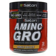 ISATORI 胺基酸-成長芒果涼感, 270g, 1個