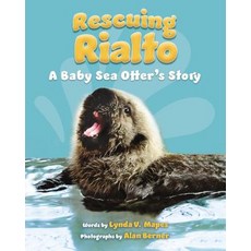 Rescuing Rialto: A Baby Sea Otter's Story Hardcover, Roaring Brook Press