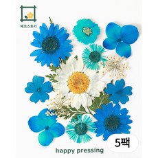 체크스토리 압화 레인보우압화 종합팩 조화 꽃송이 압화공예재료 수업재료 방과후수업 자연물놀이, 블루(5팩)