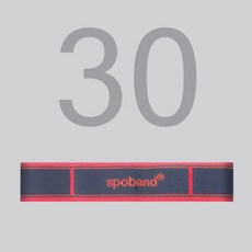 스포밴드, 1개, 30