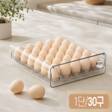 다온이네 계란 보관함 슬라이딩 트레이 30구 서랍식 달걀 보관함, 투명
