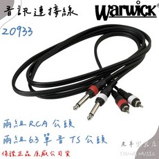 Warwick 音訊連接線, 1個, 20933 D4