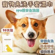 熱銷臺灣出貨 寵物免洗手套 寵物免洗手套濕巾 寵物清潔手套 寵物洗澡寵物乾洗澡 寵物沐浴 一次性消毒, 1個, 【單只】單購不發貨,真免水洗【讓愛寵清潔變得更簡單】
