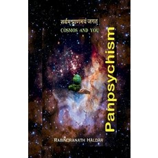 (영문도서) Panpsychism: Cosmos and You Paperback, Notion Press, English, 9798895566510